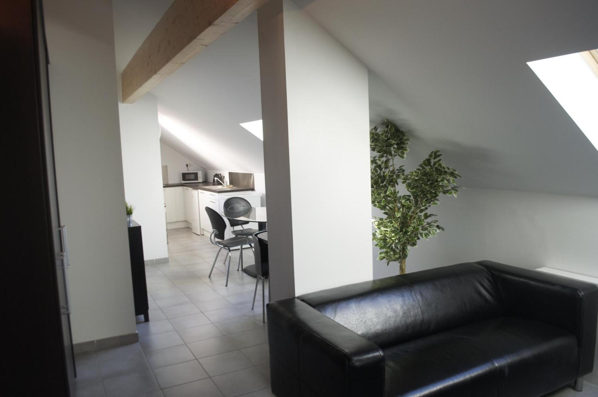 Residence Le Patricia Grenoble Rum bild